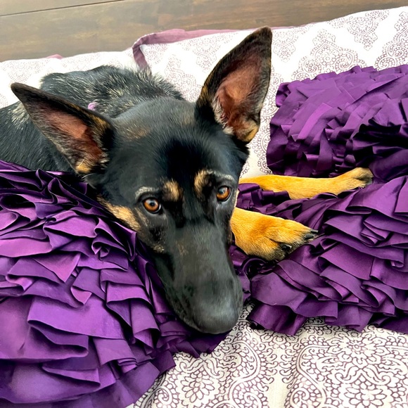 Meet your Posher, Manoj - Picture 1 of 1